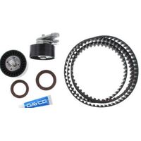 Dayco KTBA254 Timing Belt Kit for Holden Captiva Cruze & Epica 2.0L Diesel Z20S1