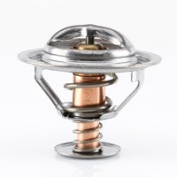 Tridon TT302-170 Thermostat 64mm 77c Degrees Check App Below