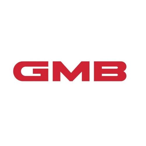 GMB 6PK2220 Drive Fan Belt for Ford Falcon BF FG 6cyl 4.0L Barra Inc Turbo